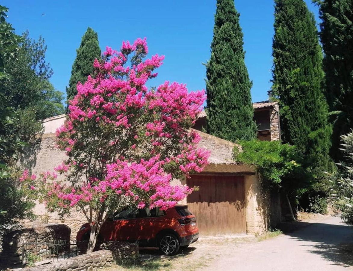 Maison 1643 Laudun Exterior foto